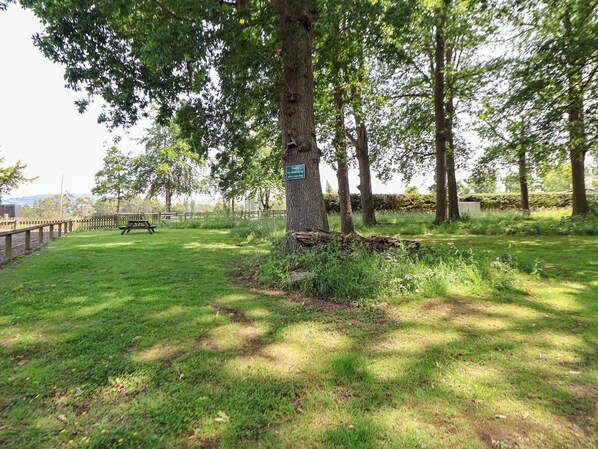 A park with a picnic table, a sign on a tree, and a wooden fence.