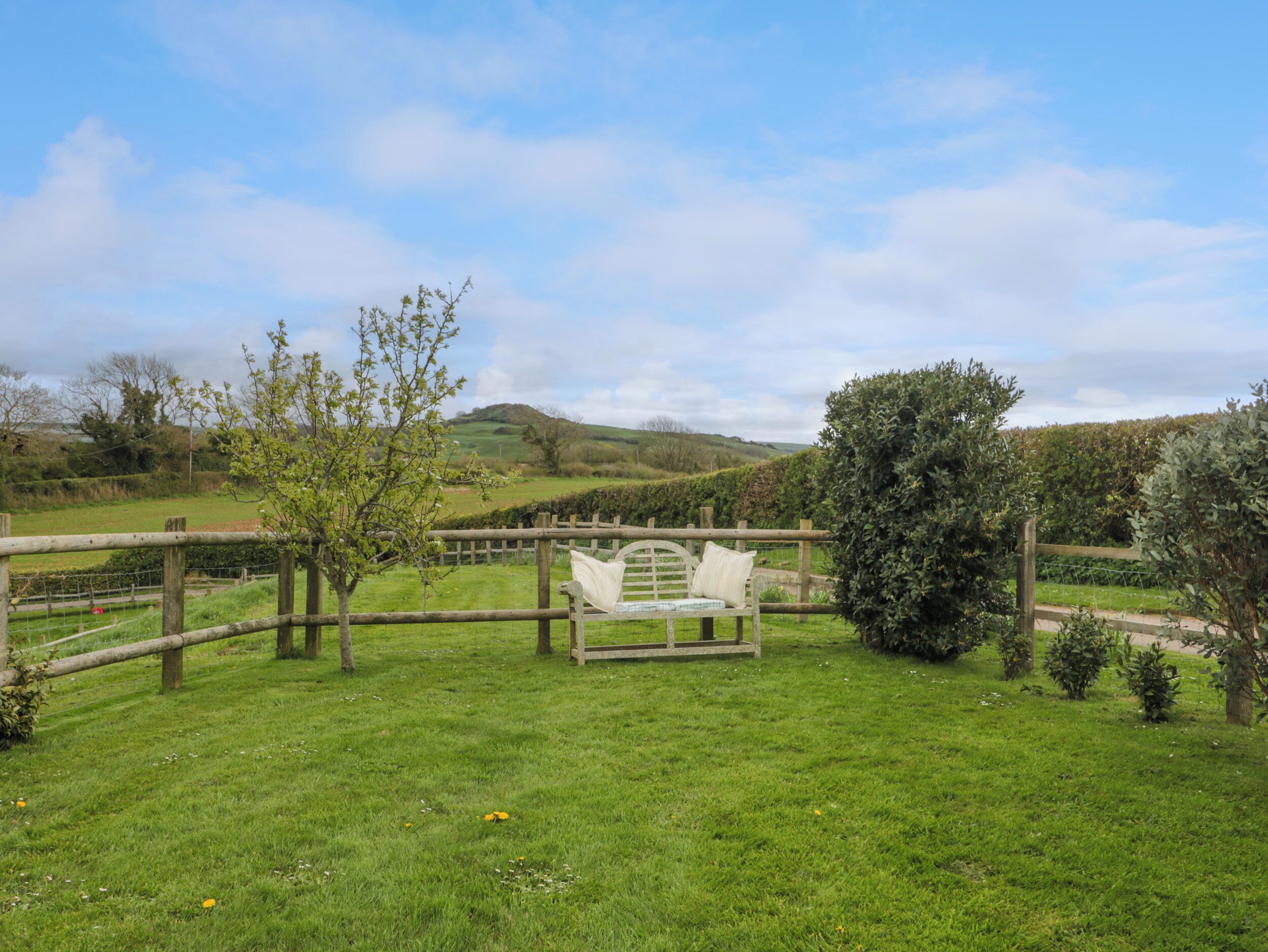 A grassy outdoor area with a wooden fence, a bench, and a hedge.