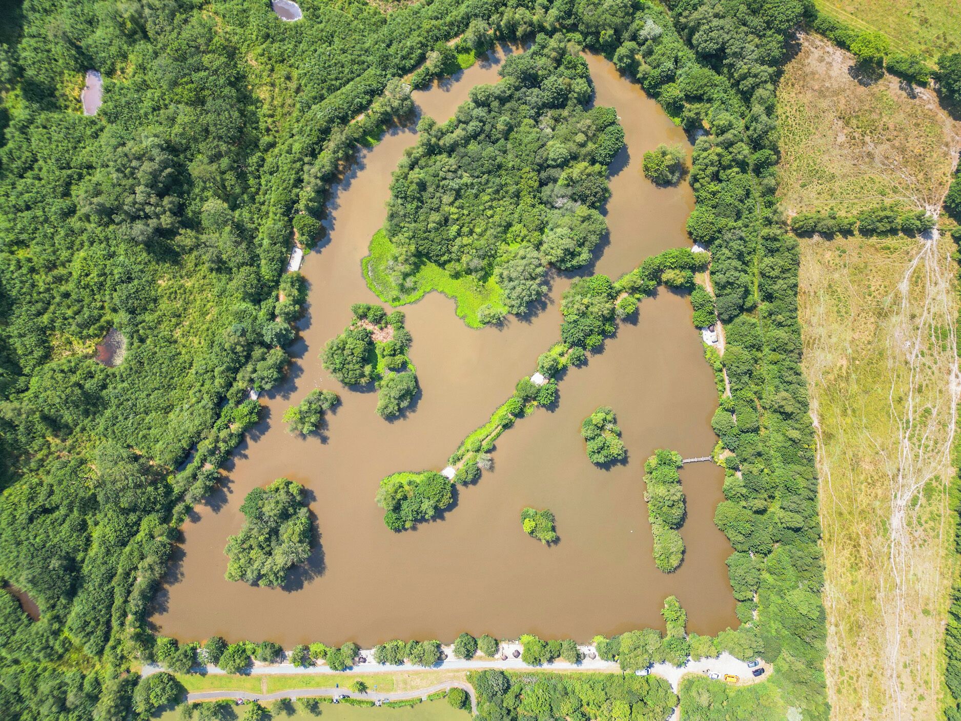 Vista aérea de un parque con un estanque grande, rodeado de abundante vegetación y algunos senderos.