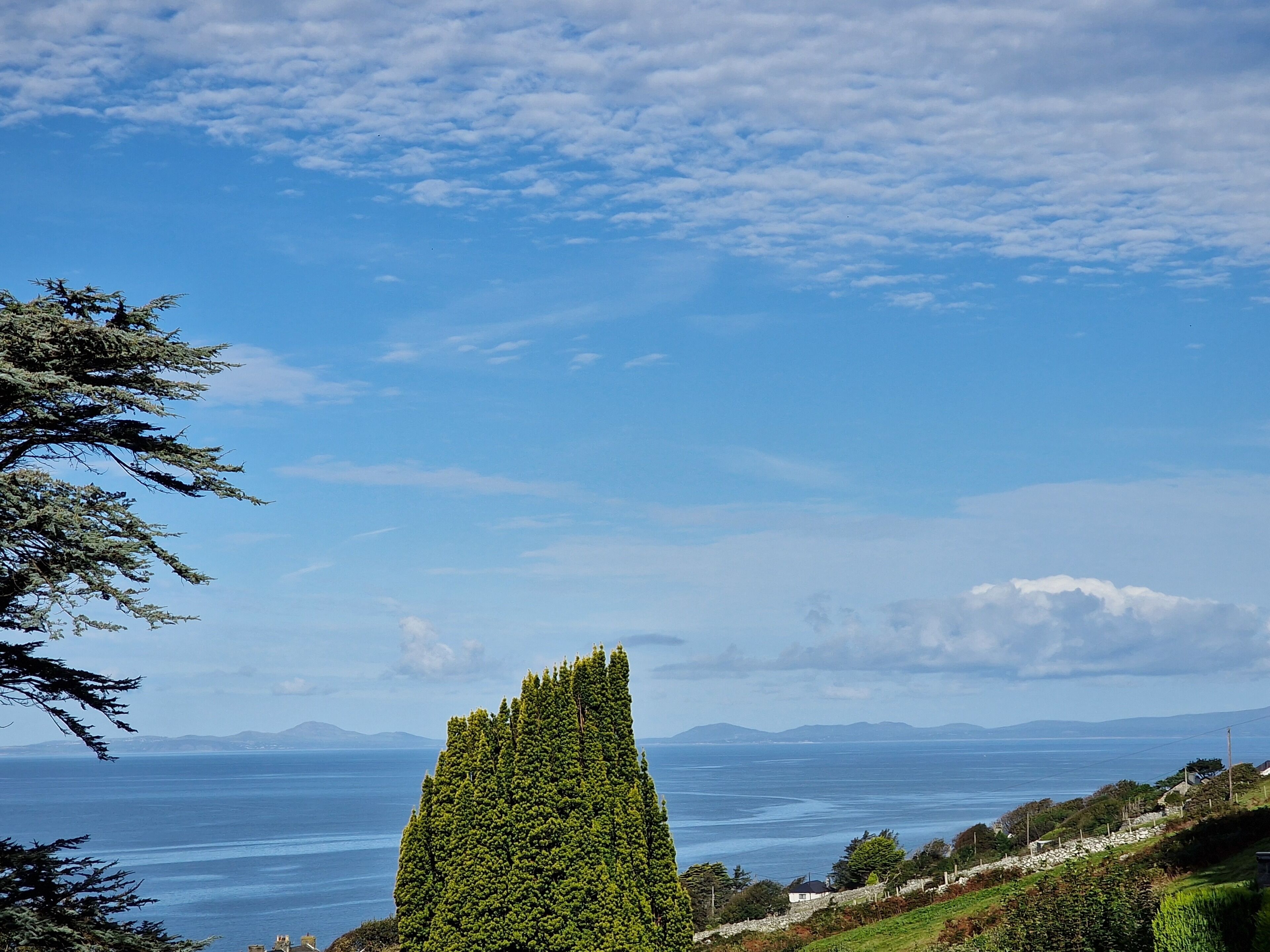 Paesaggio costiero con un albero a forma di cono, un muro di pietra e vista lontana sul mare e sulle montagne.