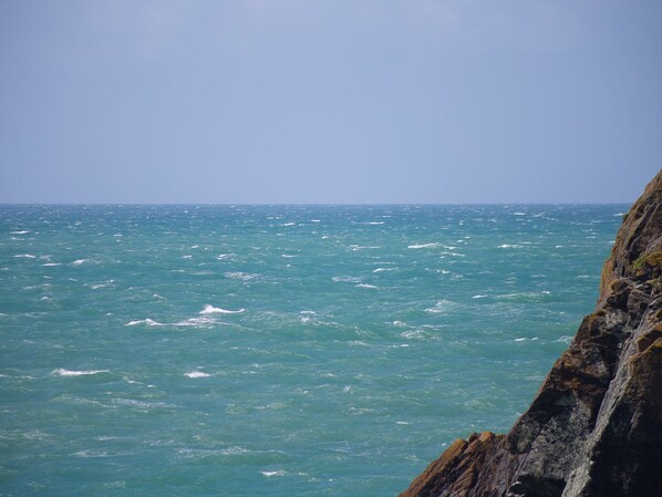 منوع