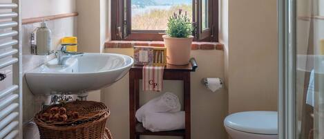 A bathroom with a large sink, a mirror, a window with a view, a toilet, and a wicker basket.