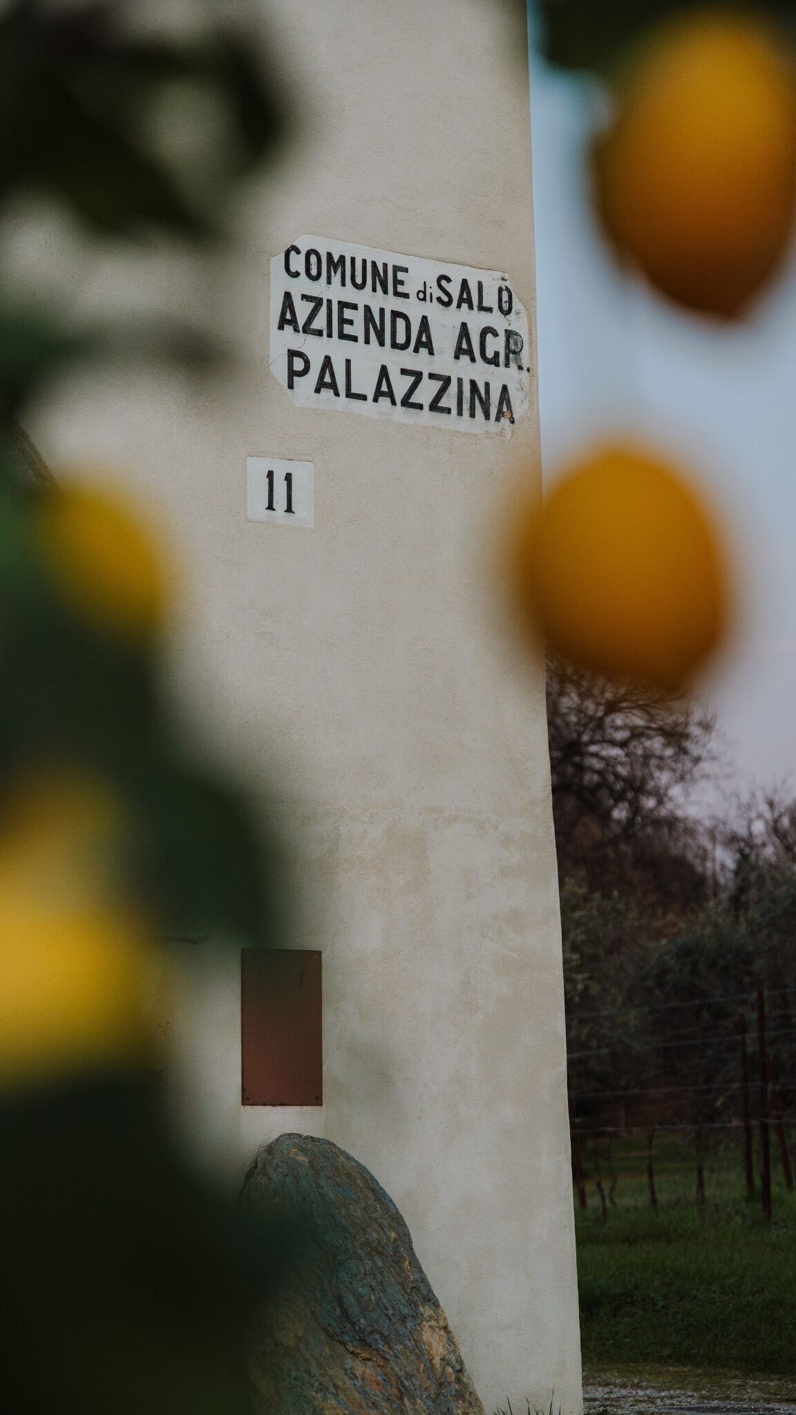 Eine Säule mit dem Text 'COMUNE di SALO AZIENDA AGR. PALAZZINA' und der Nummer 11.
