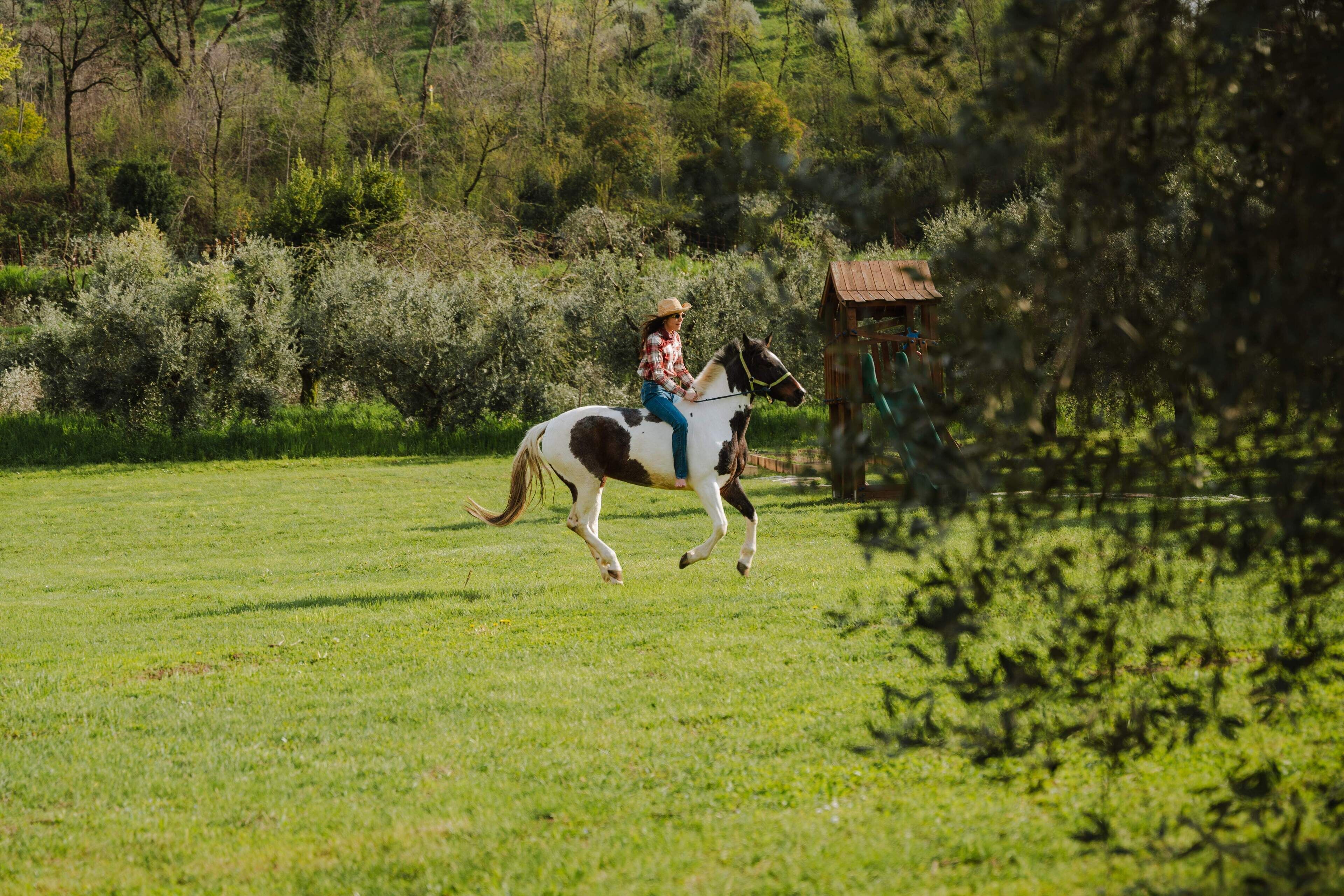 A person riding a horse in a grassy field with trees and a wooden structure in the background.