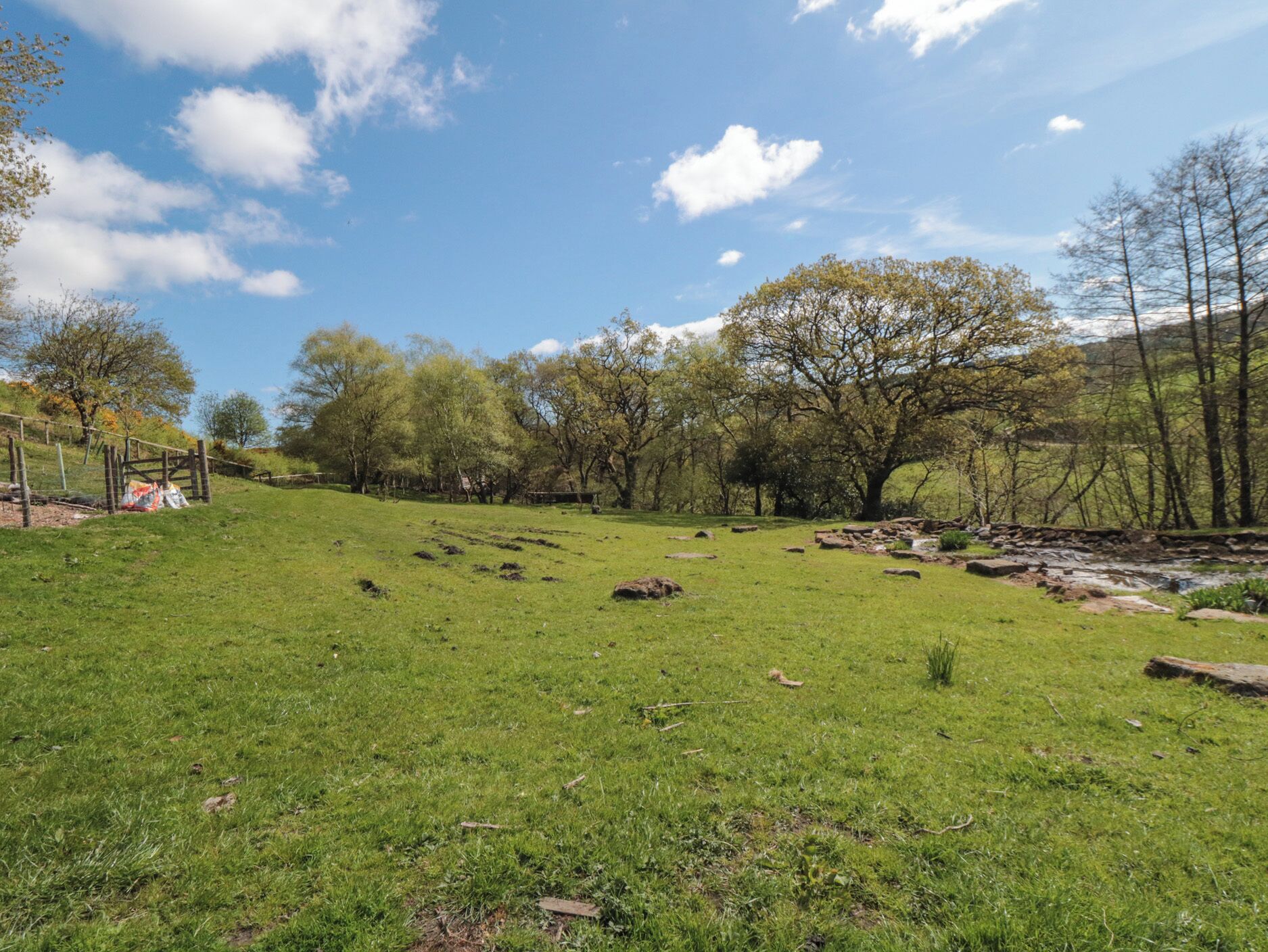 A grassy field with trees and a clear sky.