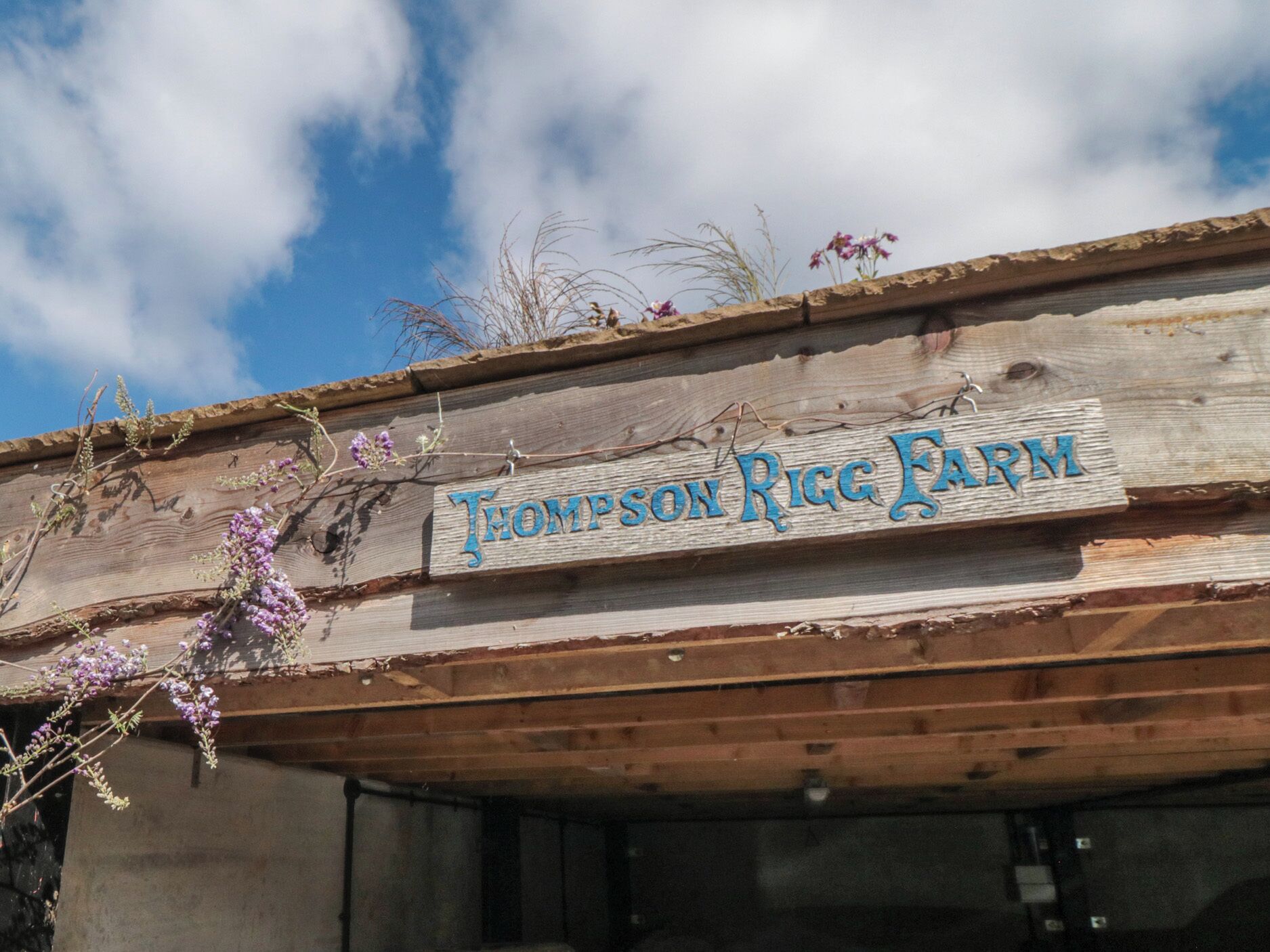 A wooden building with a sign that reads "Thompson Rice Farm".