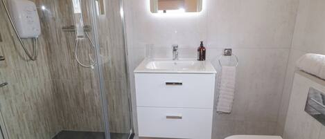 A modern bathroom with a glass-enclosed shower, a white sink with a mirror above, and a toilet.