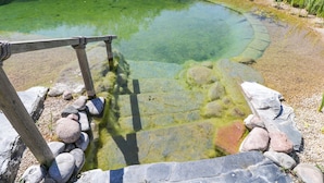 A clear pond with a wooden fence and rocks around it. - Spindle (Witney)
