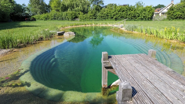A wooden dock extending into a clear pond surrounded by lush greenery and trees. - Spindle (Witney)