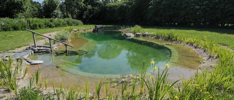 A circular pond with a stone bridge, surrounded by greenery and trees.