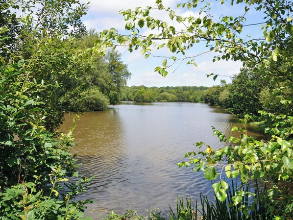 A river surrounded by dense greenery. - Holly (Winkleigh)