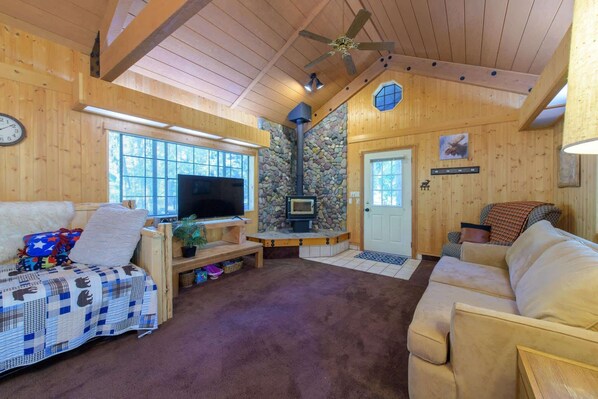 TV, fireplace