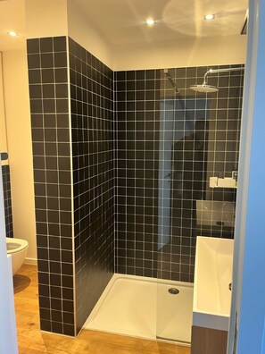 Bathroom features a corner shower with a glass door and a white sink.