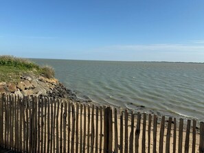 Sun loungers - Green sailing: a stopover with your feet in the water (Barbâtre)