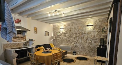 Character 300 year old cottage 100 metres from the Loire, sleeps up to 5