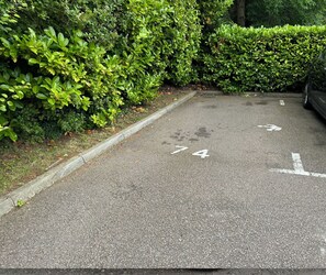 Park your car in designated spaces, surrounded by a lush green hedge.