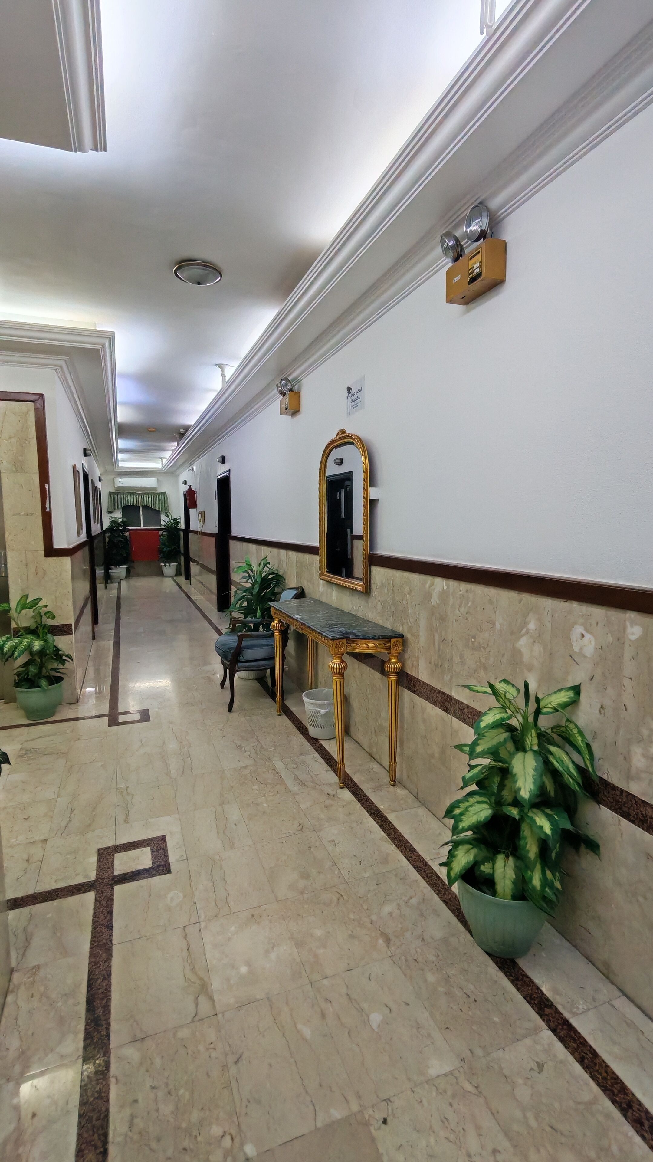Um corredor com piso de mármore, espelho com moldura dourada, plantas em vasos e uma mesa de mármore.