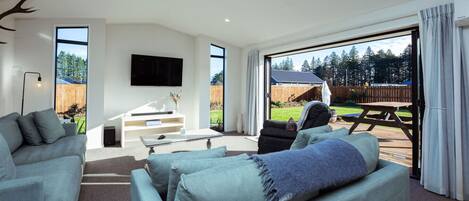 Smart TV, fireplace, books