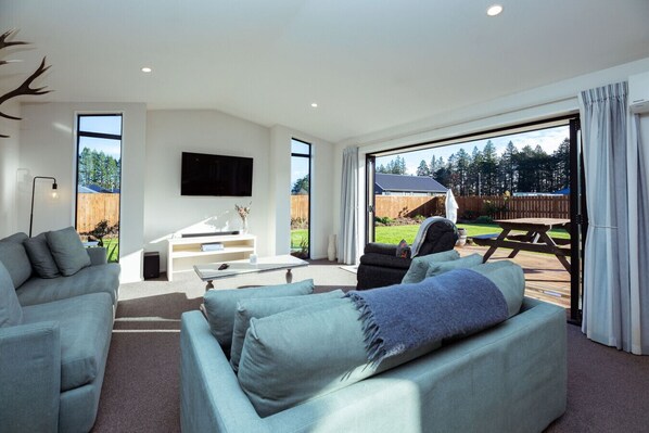 Smart TV, fireplace, books