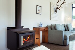 Älytelevisio, takka, kirjoja