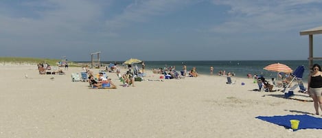 Ligstoelen aan het strand