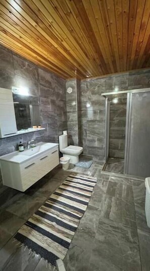 Dusche, Haartrockner, Bidet, Handtücher