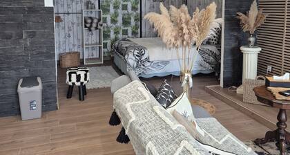 Appartement spacieux avec jacuzzi, jardin, canal plus et Netflix