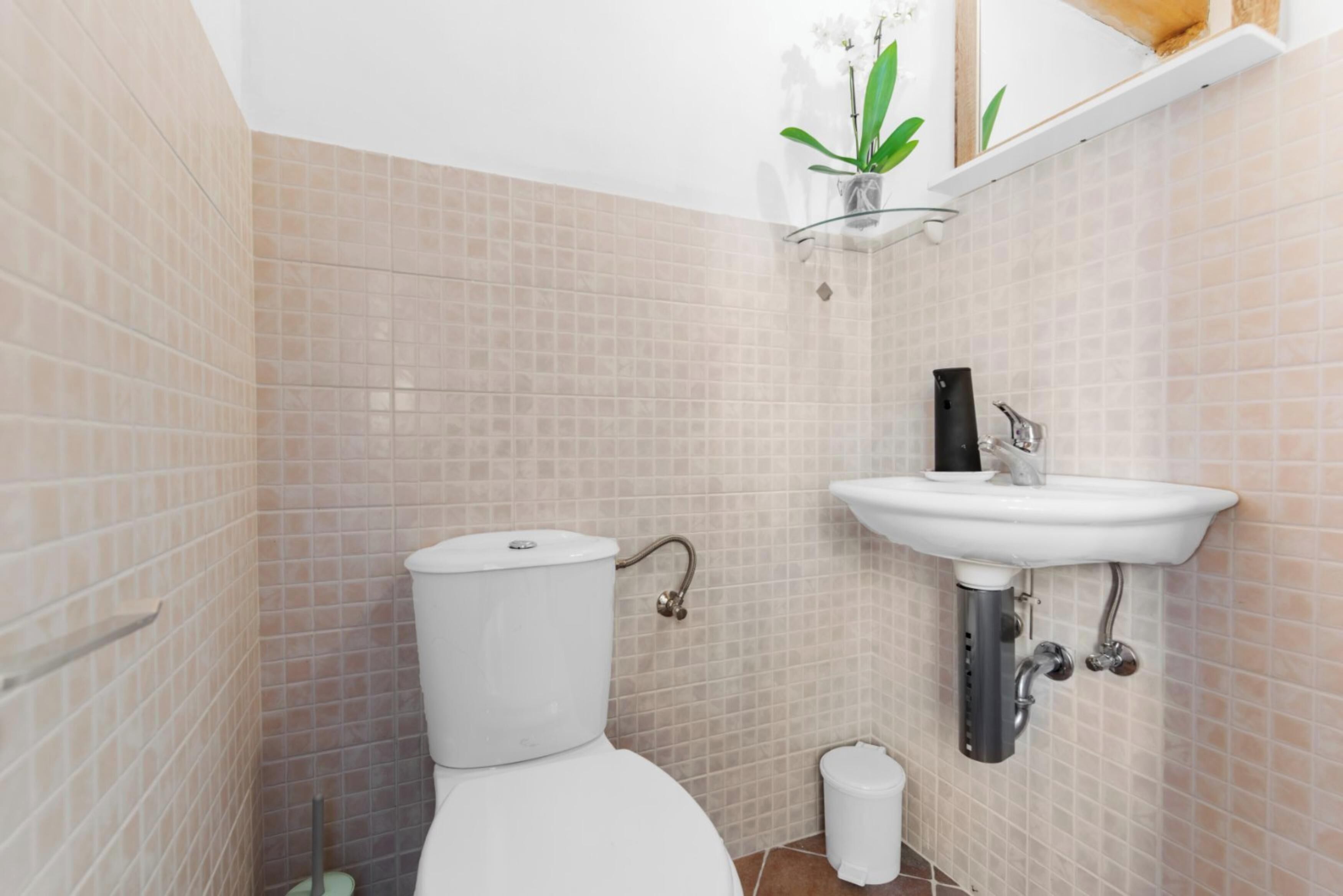 A bathroom with a toilet, sink, and a small trash bin.