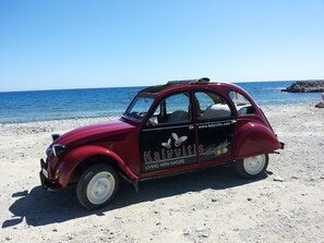 Beach - Domaine Kalyvitis; Stone house surrounded by olive groves, 2 km from the sea (Orino)