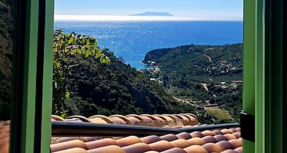 Vista Del Mar Mansion