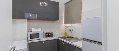 Fridge, oven, stovetop, coffee/tea maker