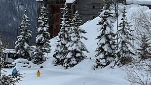 Une cabane en bois dont le toit est recouvert de neige, entourée d’arbres chargés de neige et avec des montagnes en arrière-plan.