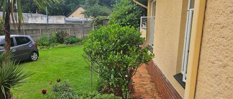 A residential backyard with a car, a palm tree, and various plants.