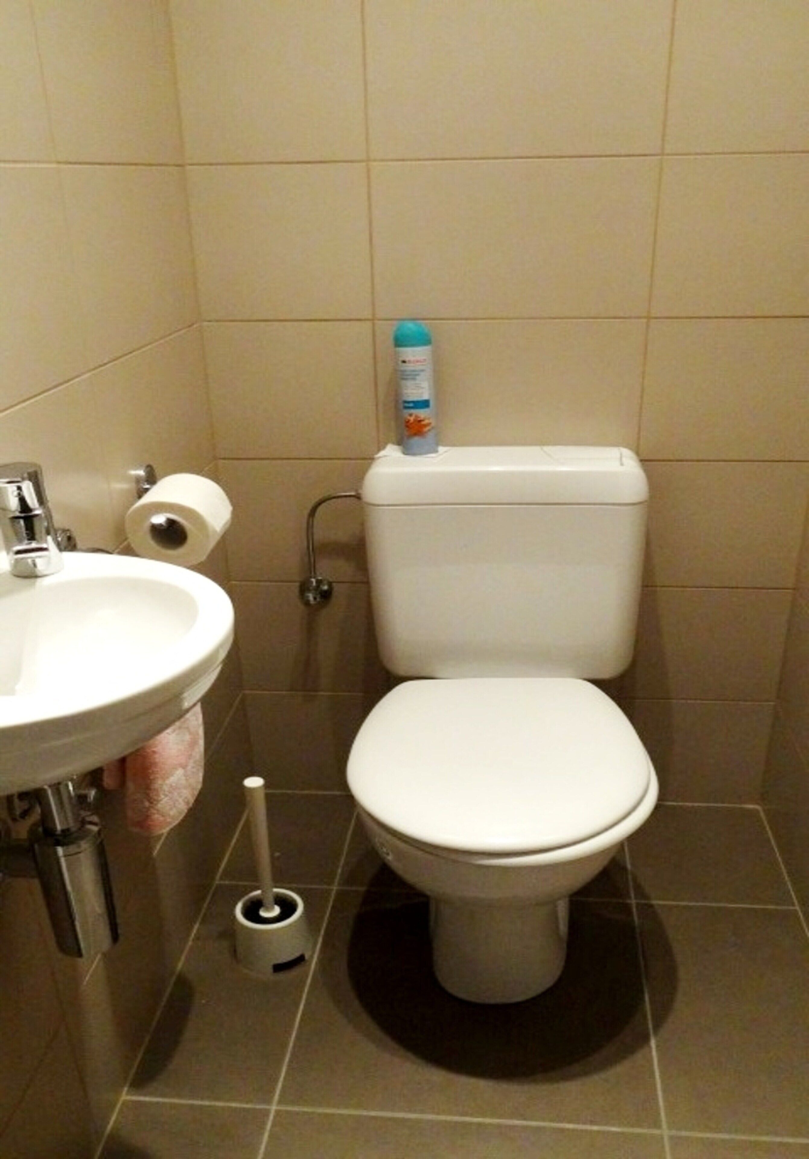 A bathroom with a toilet, sink, and toilet paper.