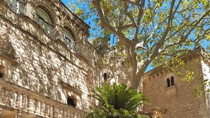 Um pátio com uma palmeira, paredes de pedra e uma escadaria que leva a um andar superior.