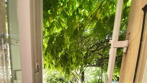 Une vue à travers une porte donnant sur un jardin avec un arbre et un chemin de gravier.