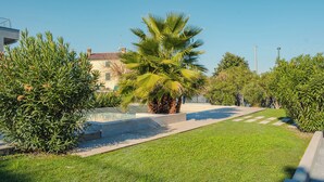 Ein gepflegter Garten mit einer Palme, ordentlich geschnittenen Büschen und einem gepflasterten Weg.