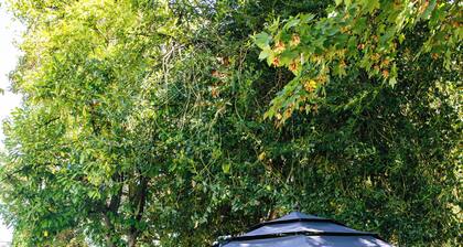 Cozy 2BR w/ Backyard Fun + Dog Friendly - sleeps 6