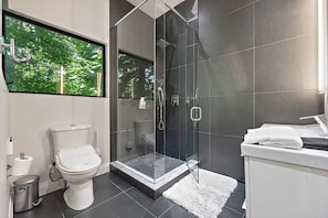 Regadera, secadora de cabello, bidet, toallas