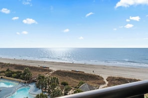 A beach view with a swimming pool and palm trees.