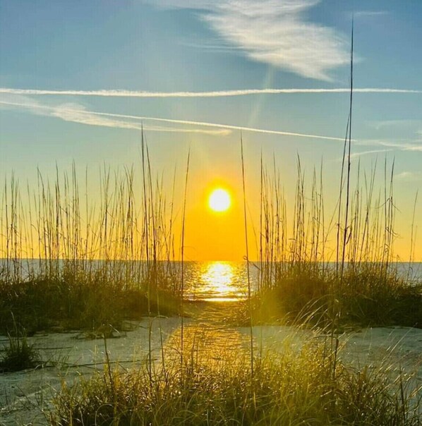 Beach - Charming studio in Tybee Island located on a Tidal Creek with dock access (Tybee Island)