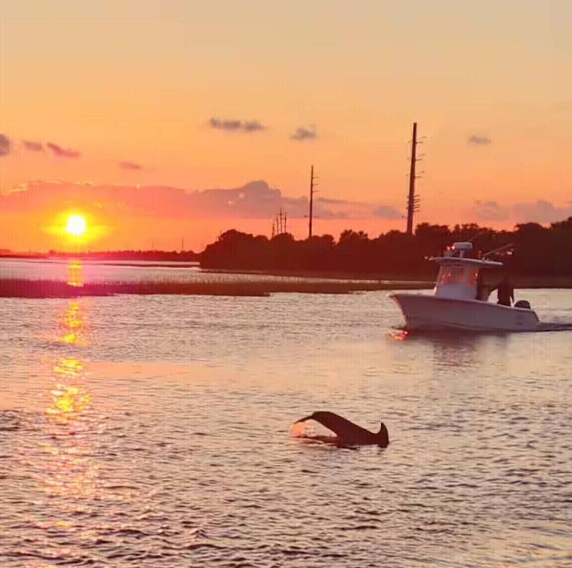 Un atardecer sobre un cuerpo de agua con un bote y un ave volando cerca de la superficie.