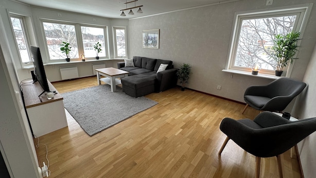 Una sala de estar moderna con un sofá gris, una mesa de centro y un televisor sobre piso de madera. Hay ventanas grandes con plantas en los alféizares.