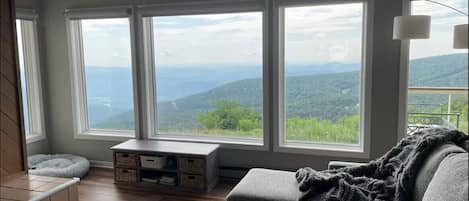 TV connectée, cheminée, livres