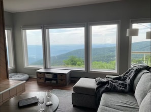 TV connectée, cheminée, livres