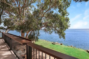 Property grounds - Absolute waterfront property on rock wall (Amity Point)
