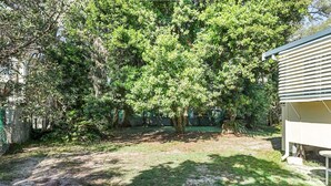 A backyard with a large tree, a fenced area, and a small building. - Perfect for retired folk, Fisherman & Small families (Amity Point)