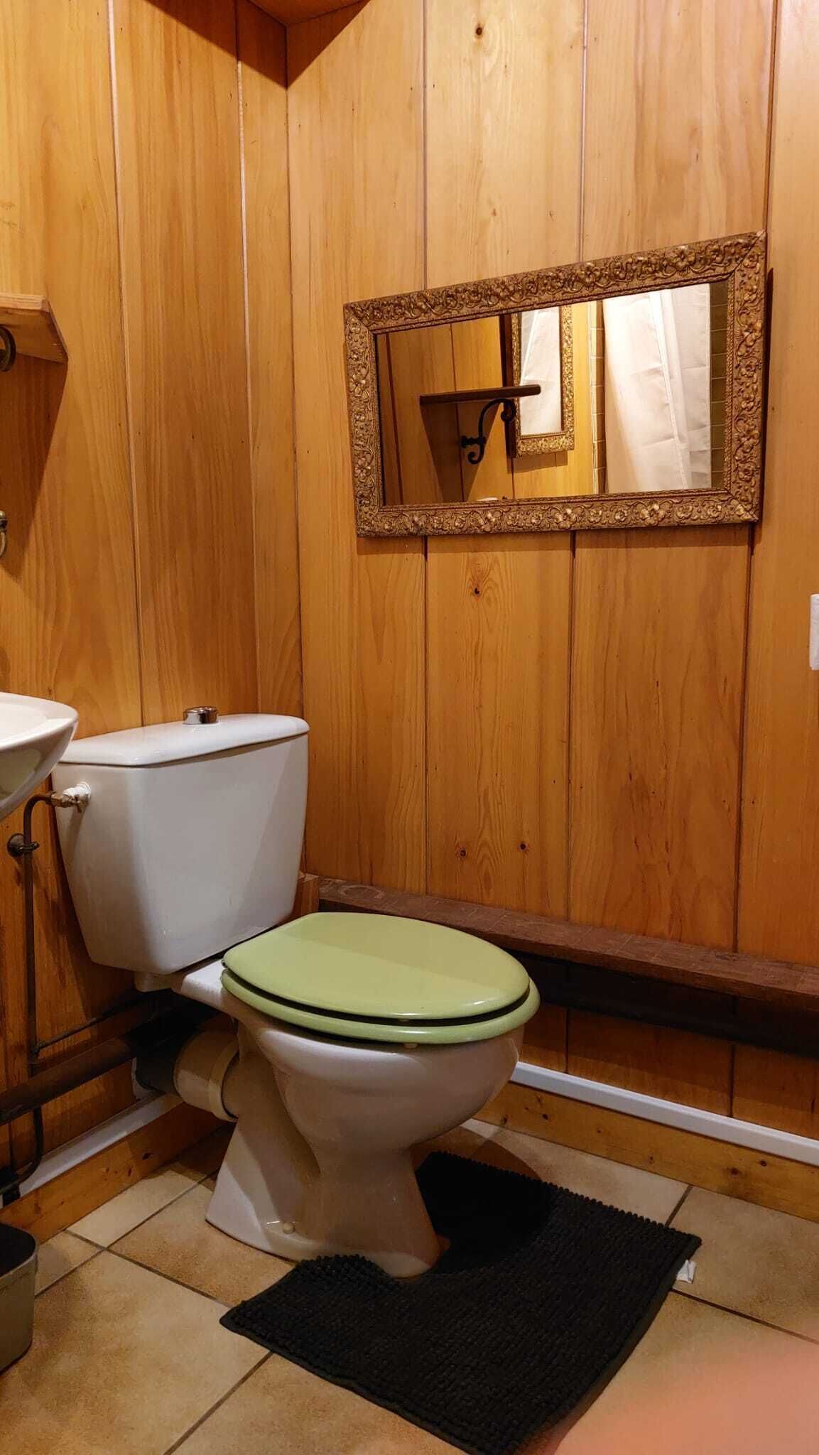 A wooden-paneled bathroom with a white toilet, a sink, and a mirror with an ornate frame.
