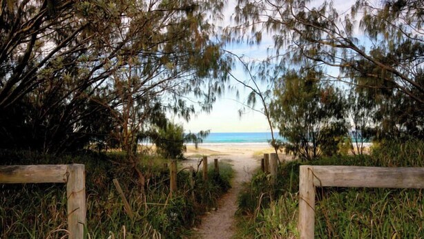 Un sendero que lleva a una playa, flanqueado por una valla de madera.