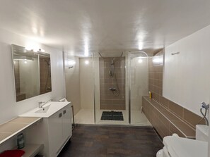 Shower, hair dryer